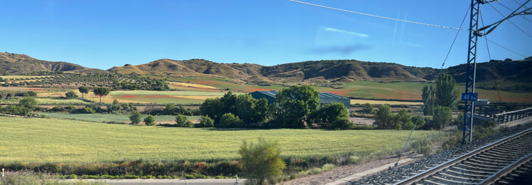 Fields of poppies between Barcelona & Madrid