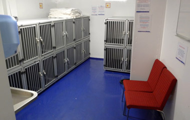 Kennels on Stena Line ferry Harwich-Hoek