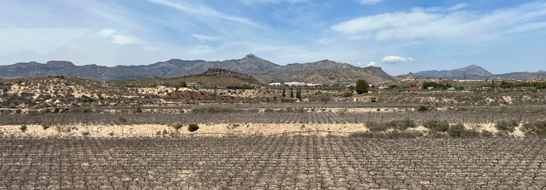 Scenery between Valencia & Alicante